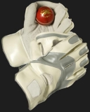 Wicket Keeping Gloves